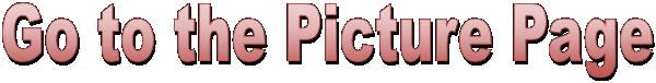 Go to the Picture Page